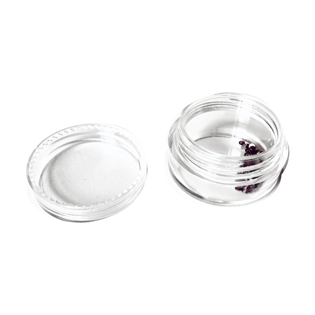 Tooth Gem Storage Box – 12 Compartment Crystal Organizer